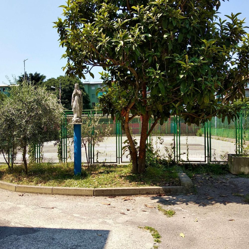 Foto_3