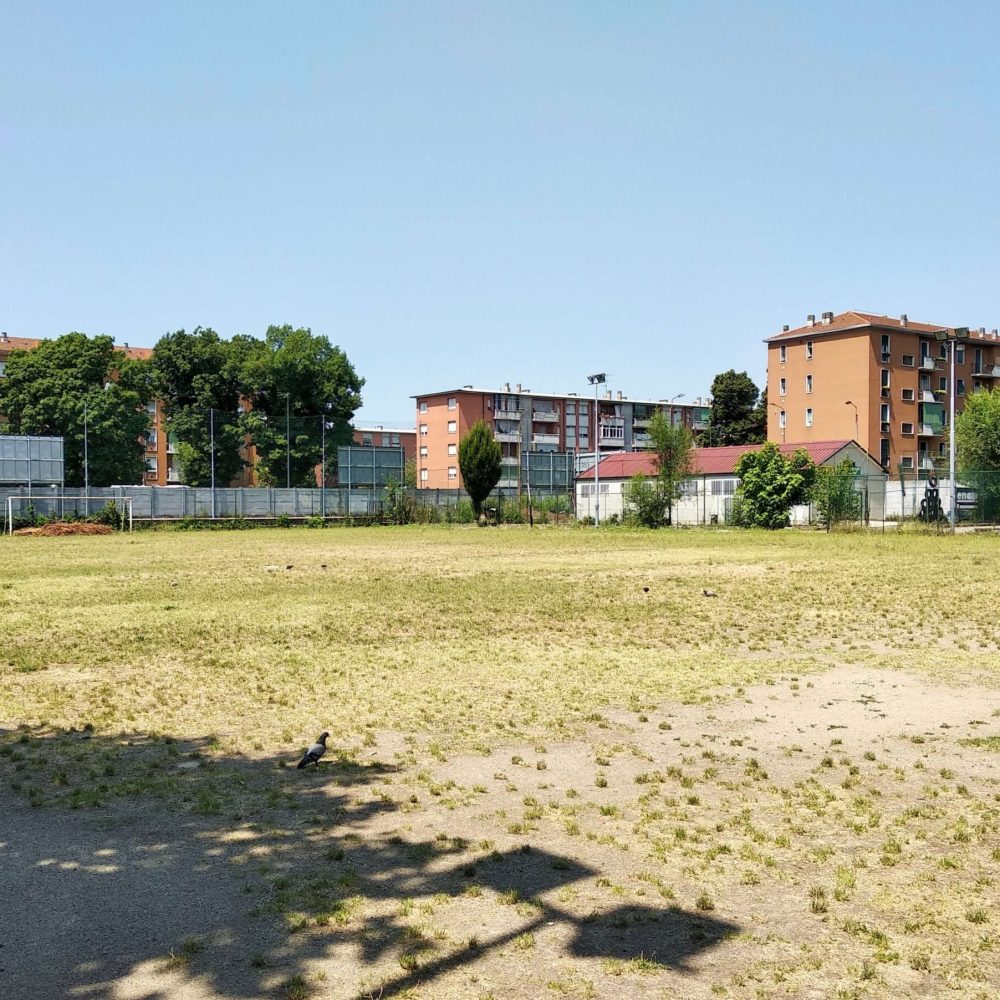 Foto_7